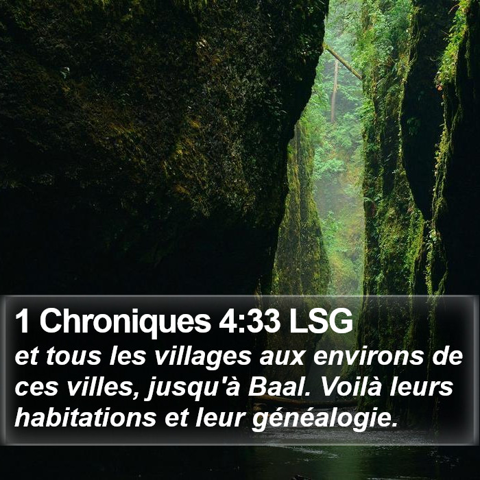 1 Chroniques 4:33 LSG Bible Study