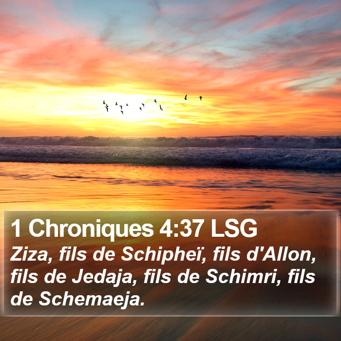 1 Chroniques 4:37 LSG Bible Study