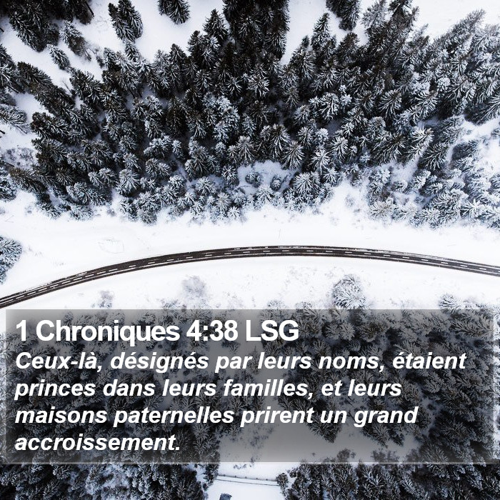 1 Chroniques 4:38 LSG Bible Study