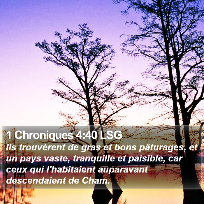 1 Chroniques 4:40 LSG Bible Study