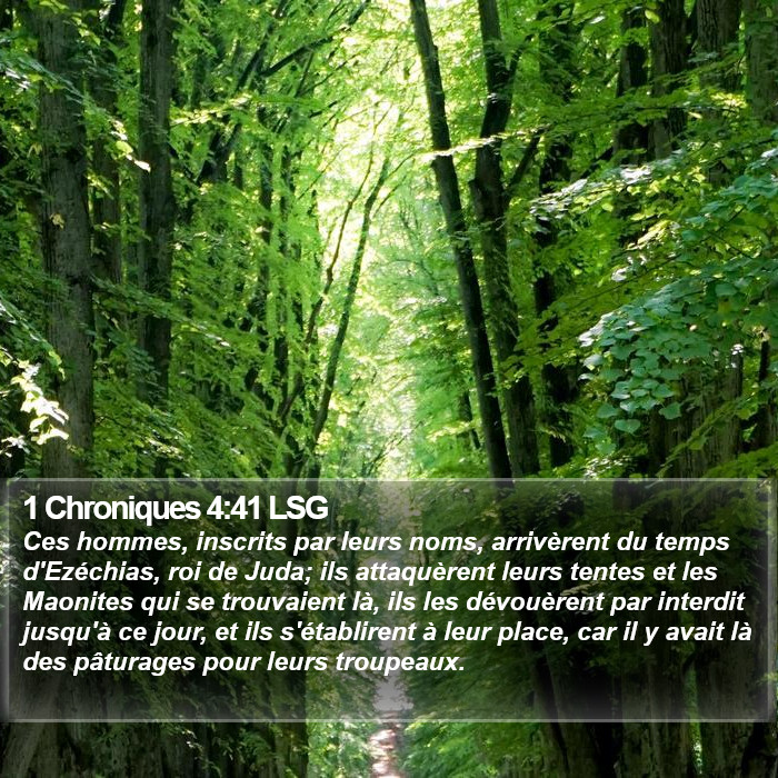 1 Chroniques 4:41 LSG Bible Study