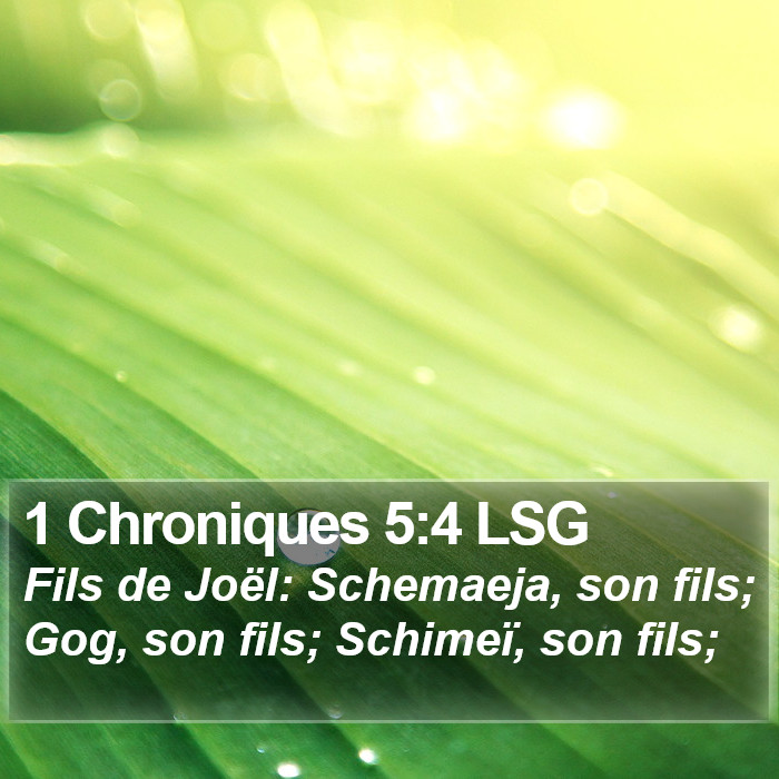 1 Chroniques 5:4 LSG Bible Study