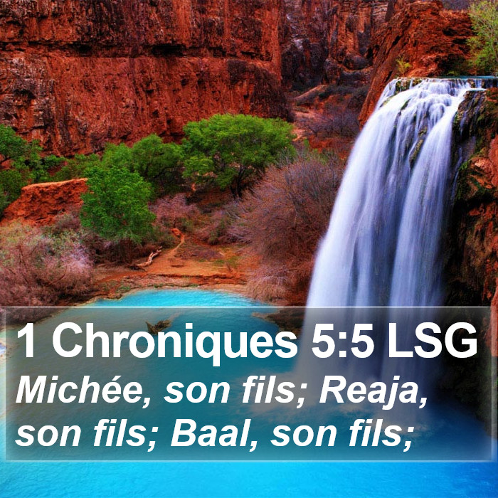 1 Chroniques 5:5 LSG Bible Study