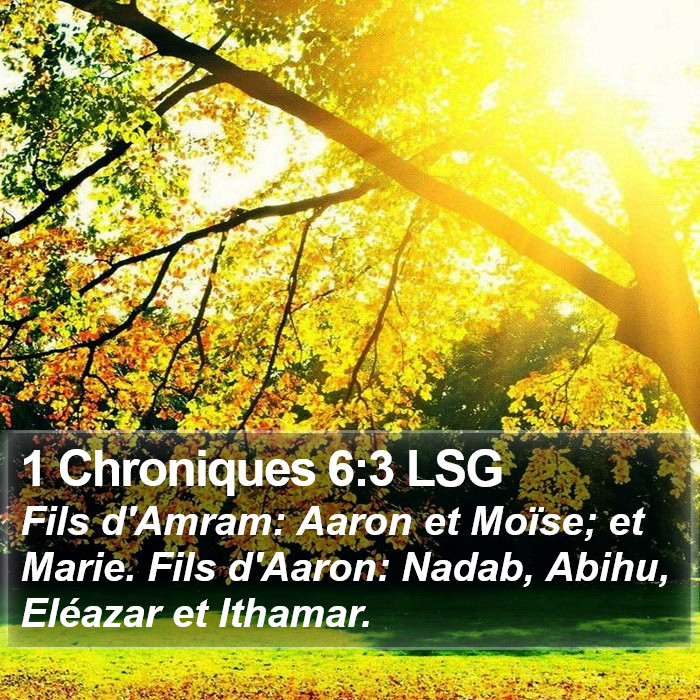 1 Chroniques 6:3 LSG Bible Study