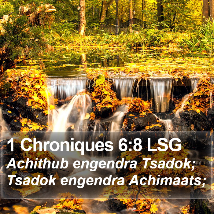 1 Chroniques 6:8 LSG Bible Study