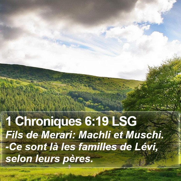 1 Chroniques 6:19 LSG Bible Study