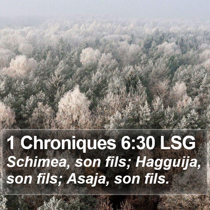1 Chroniques 6:30 LSG Bible Study