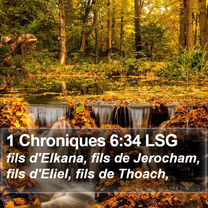 1 Chroniques 6:34 LSG Bible Study