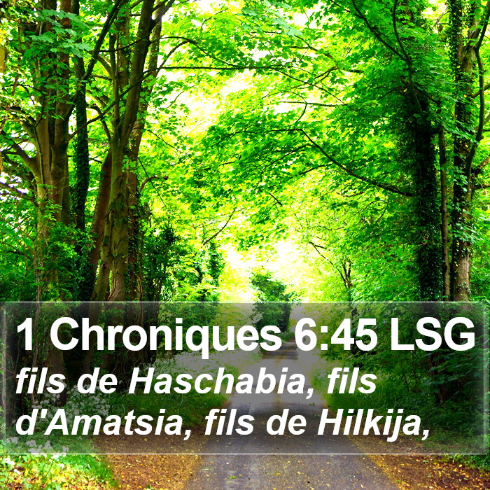 1 Chroniques 6:45 LSG Bible Study