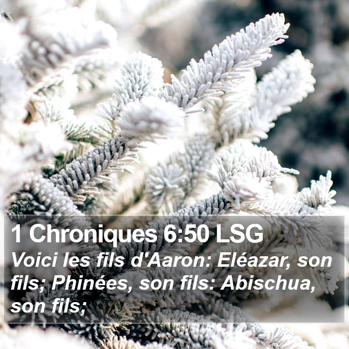 1 Chroniques 6:50 LSG Bible Study
