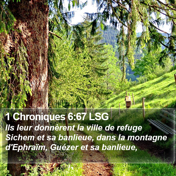 1 Chroniques 6:67 LSG Bible Study