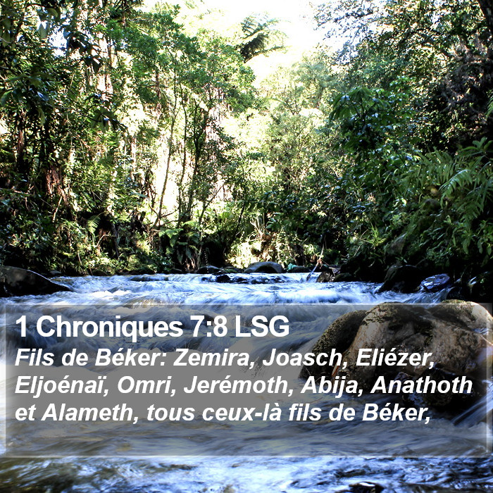 1 Chroniques 7:8 LSG Bible Study