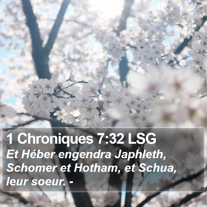 1 Chroniques 7:32 LSG Bible Study
