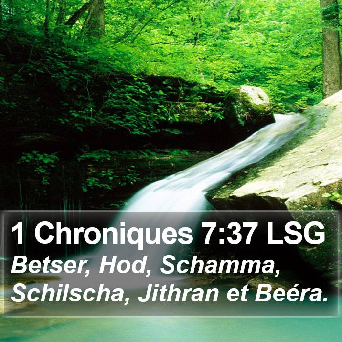 1 Chroniques 7:37 LSG Bible Study