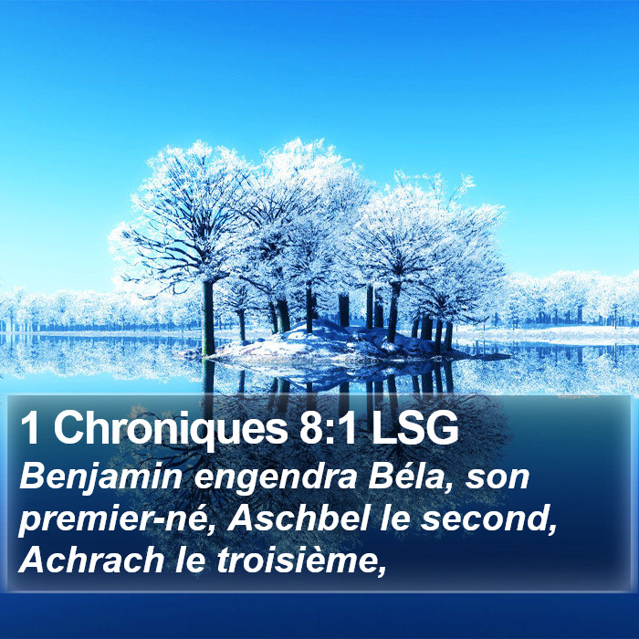 1 Chroniques 8:1 LSG Bible Study