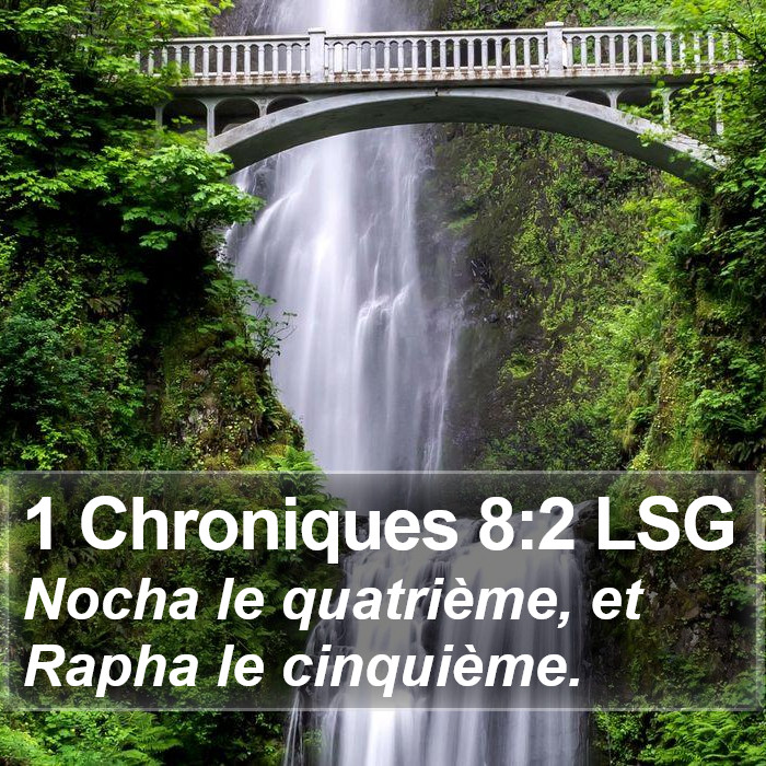 1 Chroniques 8:2 LSG Bible Study