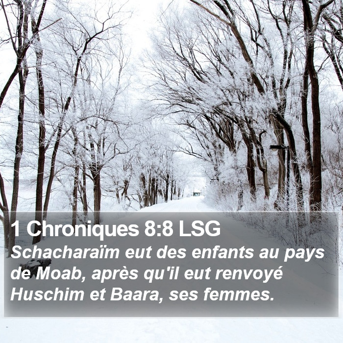 1 Chroniques 8:8 LSG Bible Study