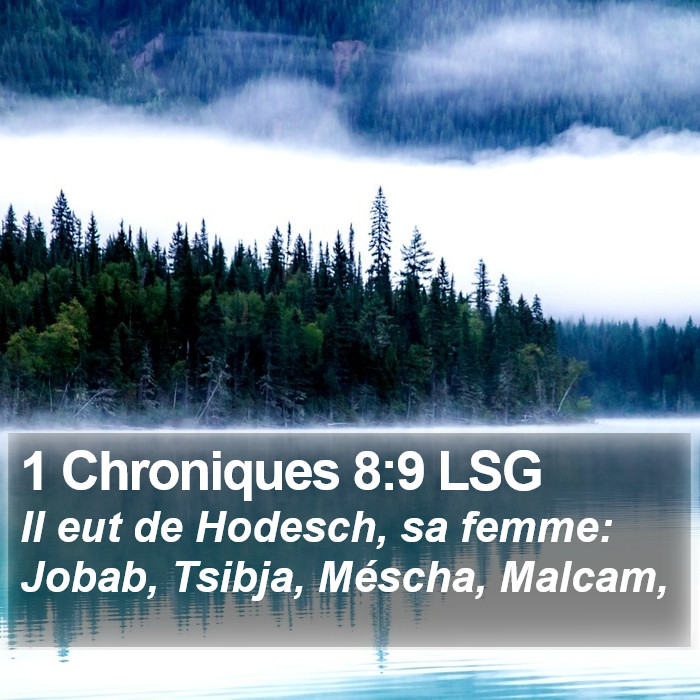 1 Chroniques 8:9 LSG Bible Study