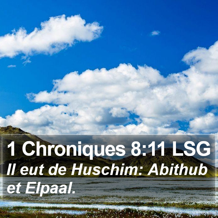 1 Chroniques 8:11 LSG Bible Study