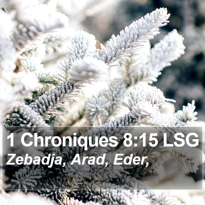 1 Chroniques 8:15 LSG Bible Study