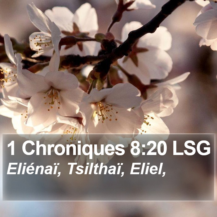 1 Chroniques 8:20 LSG Bible Study