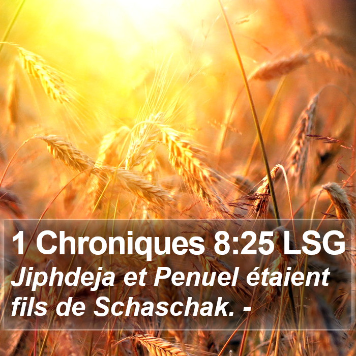 1 Chroniques 8:25 LSG Bible Study