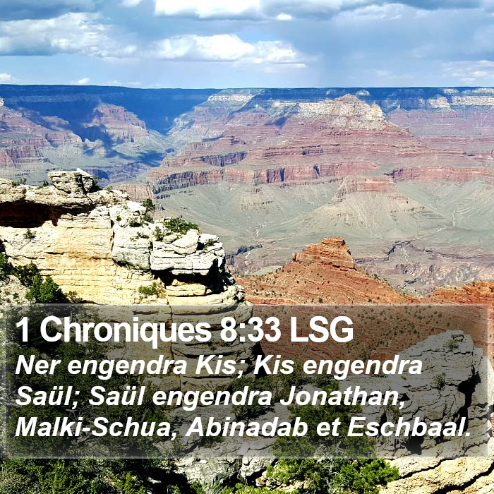 1 Chroniques 8:33 LSG Bible Study