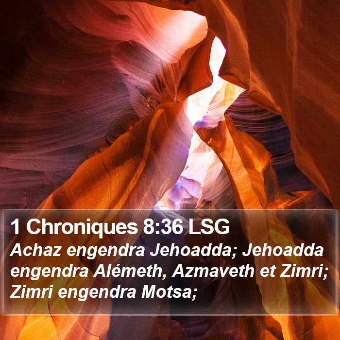 1 Chroniques 8:36 LSG Bible Study