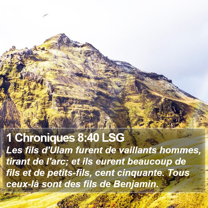 1 Chroniques 8:40 LSG Bible Study