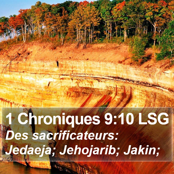 1 Chroniques 9:10 LSG Bible Study