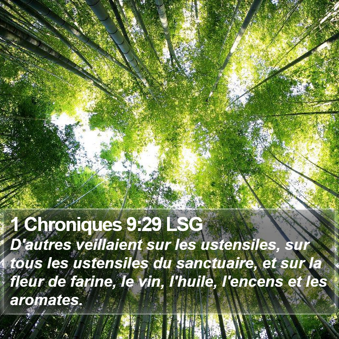 1 Chroniques 9:29 LSG Bible Study