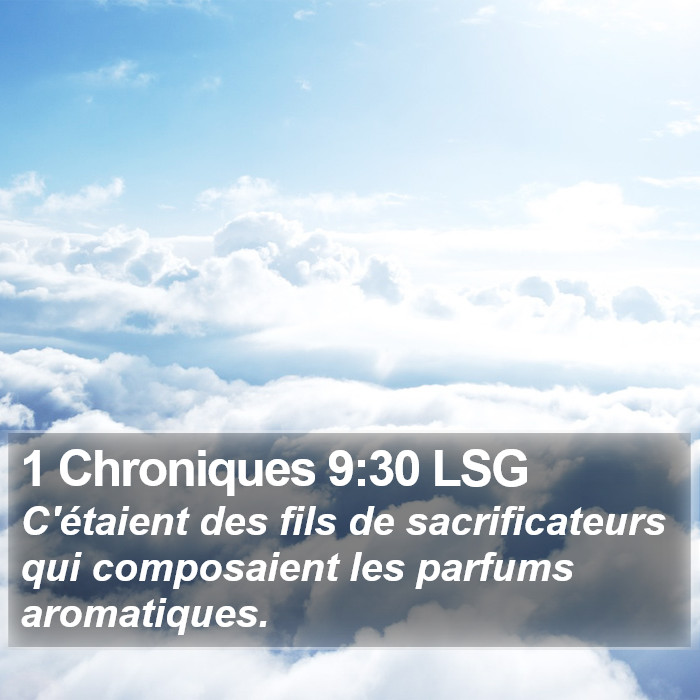 1 Chroniques 9:30 LSG Bible Study