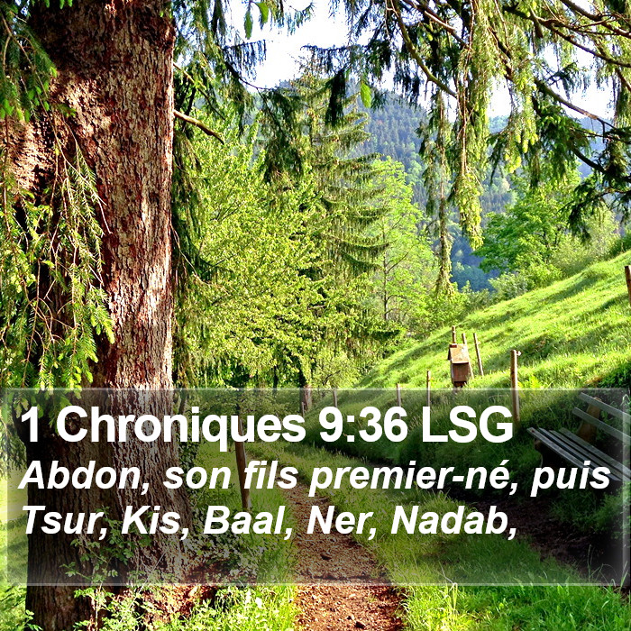 1 Chroniques 9:36 LSG Bible Study