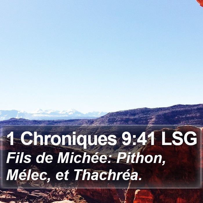 1 Chroniques 9:41 LSG Bible Study