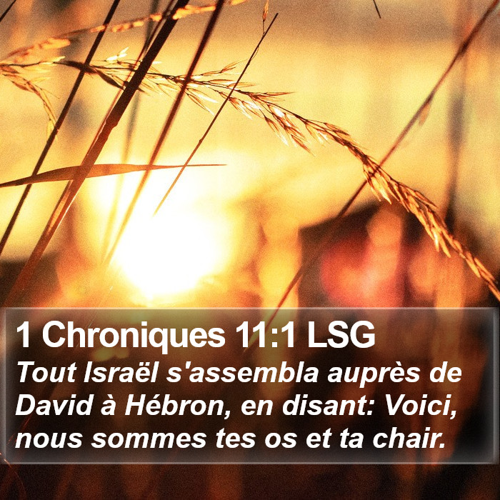 1 Chroniques 11:1 LSG Bible Study