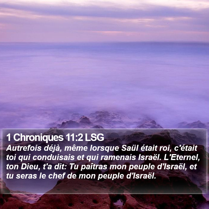1 Chroniques 11:2 LSG Bible Study