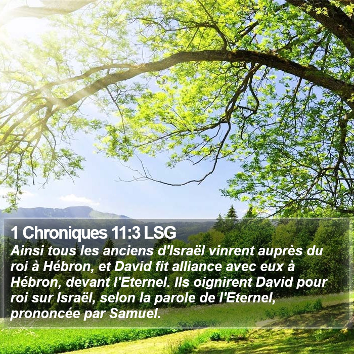 1 Chroniques 11:3 LSG Bible Study