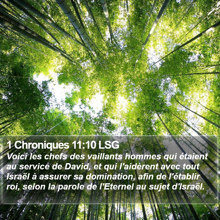1 Chroniques 11:10 LSG Bible Study