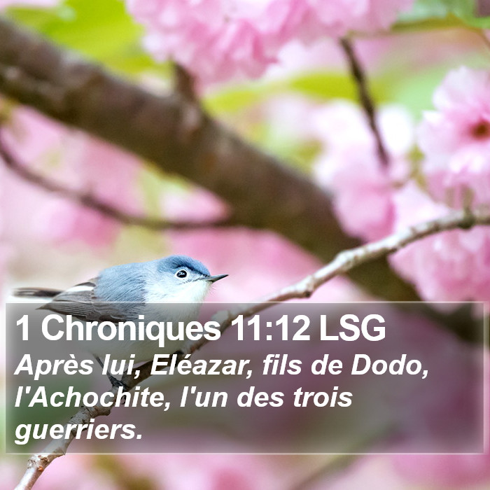 1 Chroniques 11:12 LSG Bible Study