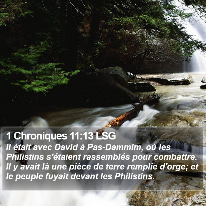 1 Chroniques 11:13 LSG Bible Study