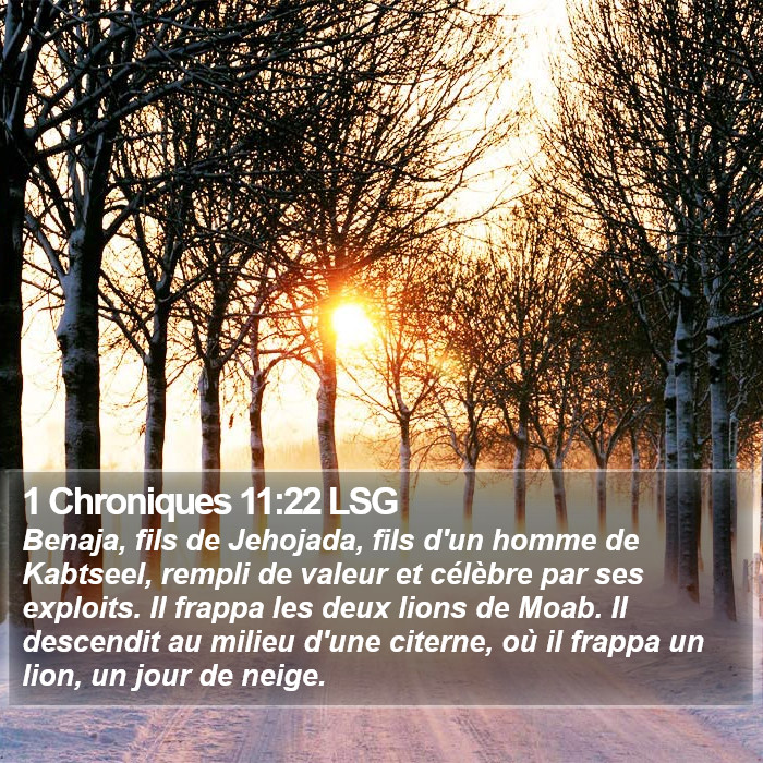1 Chroniques 11:22 LSG Bible Study
