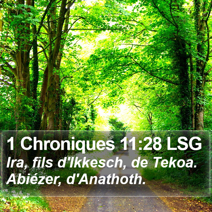 1 Chroniques 11:28 LSG Bible Study