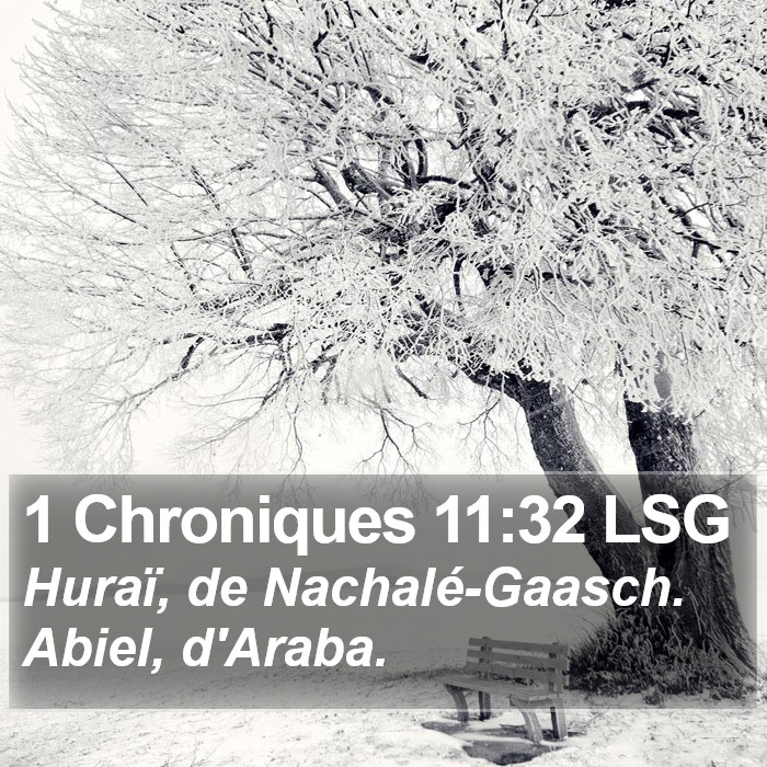 1 Chroniques 11:32 LSG Bible Study