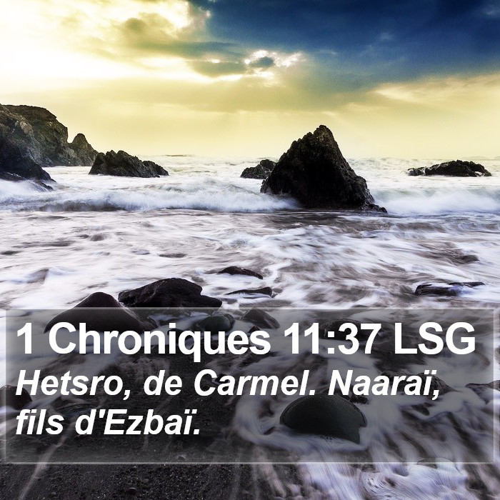 1 Chroniques 11:37 LSG Bible Study