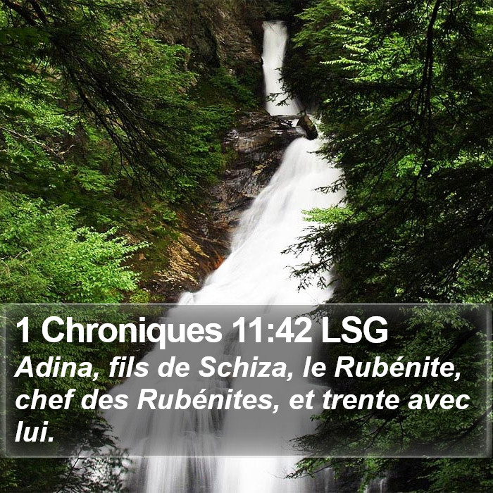 1 Chroniques 11:42 LSG Bible Study