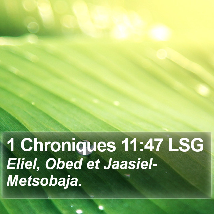1 Chroniques 11:47 LSG Bible Study