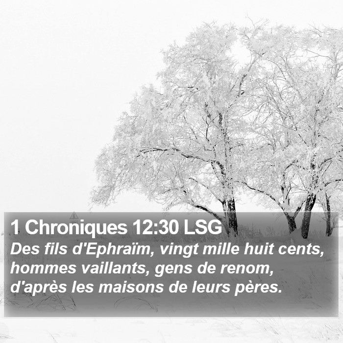 1 Chroniques 12:30 LSG Bible Study