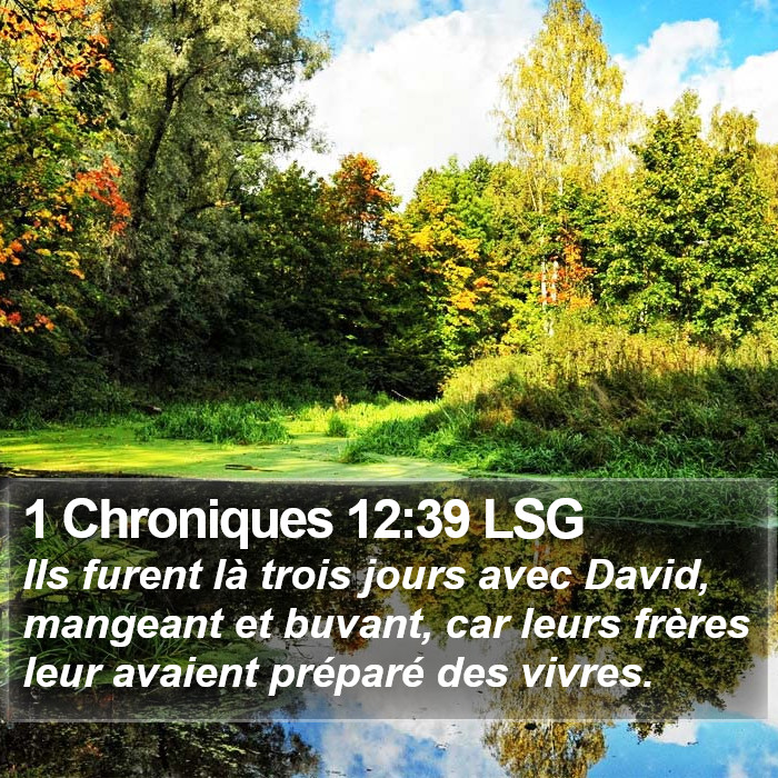 1 Chroniques 12:39 LSG Bible Study