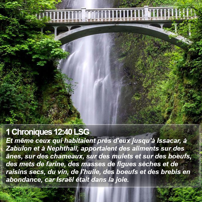 1 Chroniques 12:40 LSG Bible Study