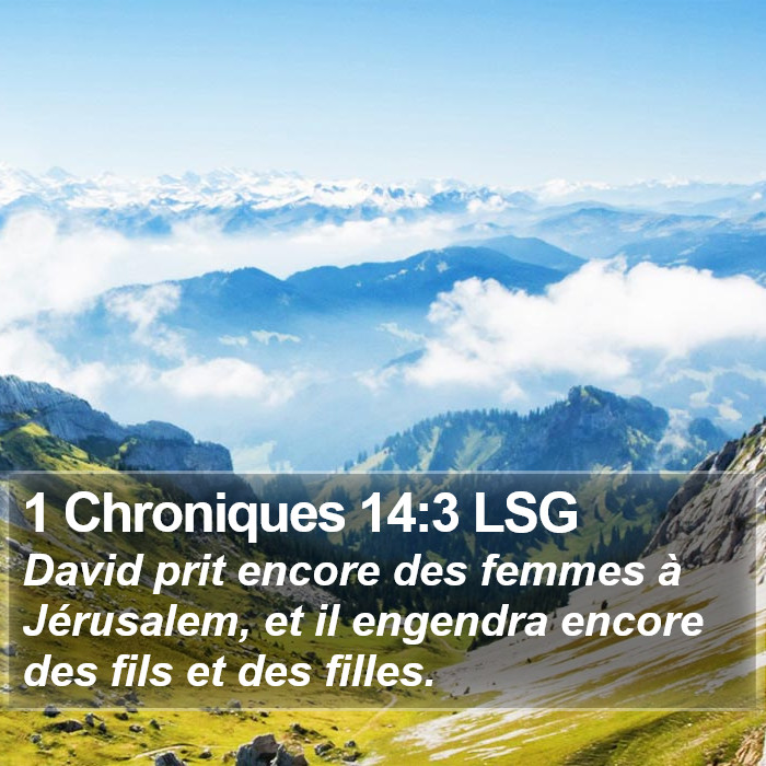 1 Chroniques 14:3 LSG Bible Study